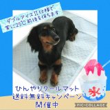 まだまだ暑い！！熱中症対策にクールマット