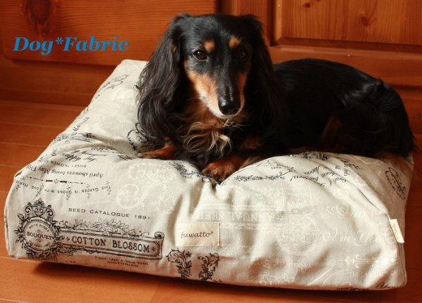 画像2: “fuwatto*mini”カバー【RURU BOUQUET】 (2)