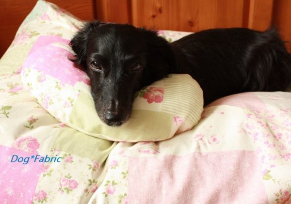 画像2: ミニクッション（Baens）＝マーブルピスタチオ ＝ (2)