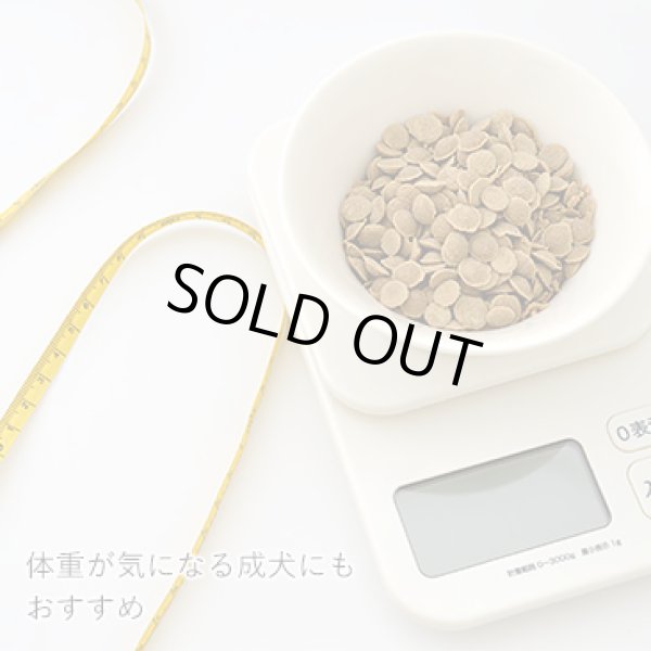 画像3: Yum Yum Yum! ドライタイプ（シニア＆ライト）500ｇ/1.3ｋｇ (3)