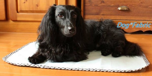 画像3: ダブルアイスII使用　ひんやりクールマット＜ホワイト＞【La tour Eiffel pink】 (3)