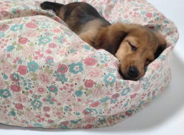 画像1: “fuwatto*”クッションカバー（pastel cottonlinen flowersII) (1)